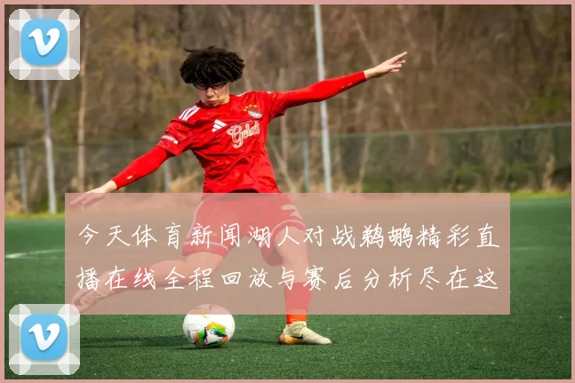 今天体育新闻湖人对战鹈鹕精彩直播在线全程回放与赛后分析尽在这里